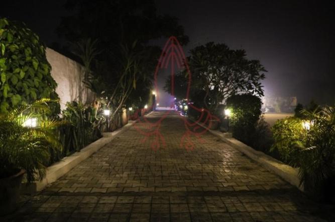 Luxury Farmhouse In Chhatarpur With Pool New Delhi Eksteriør billede